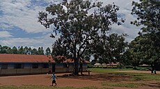 Vesnická idyla ve �kole Duhaga Boys Primary School v ugandské Hoim� (5....