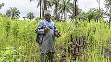 Alhadi Aboubacar Kowa, imám a vdce zemdlc, na rýovém poli (25. záí 2024)