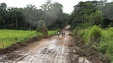 Lidé jdou po blátivé cest� rozd�lující dv� rý�ová pole. (25. zá�í 2024)