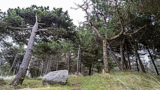 Krajina v hrabství Donegal v severním Irsku