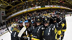 Verva Litvínov - Dynamo Pardubice, hokejová extraliga. Litvínov slaví výhru.