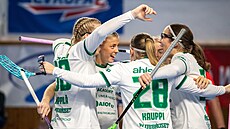 Radost hráek Thorengruppen IBK.