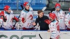 Gólová radost hokejist� T�ince v utkání proti Plzni.