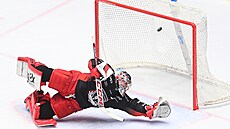 Branká� Hradce Filip Novotný inkasuje gól b�hem derby proti Pardubicím.