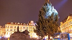 Na Staromstské námstí v Praze dorazil v noci vánoní strom. (26. listopadu...
