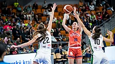 Pauline Astierová z Bourges stílí na ko abin pes Emmu echovou a Eliku...