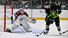 Branká� Colorada Alexandar Georgijev (vlevo) sleduje Wyatta Johnstona z...