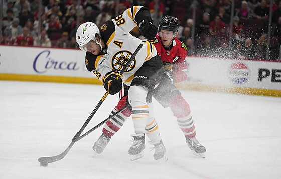 David Pastrák z Bostonu (vlevo) a Connor Murphy z Chicago.