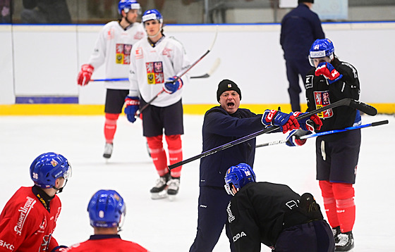 Trénink �eské hokejové reprezentace p�ed �výcarskými hrami. Pokyny udílí kou�...