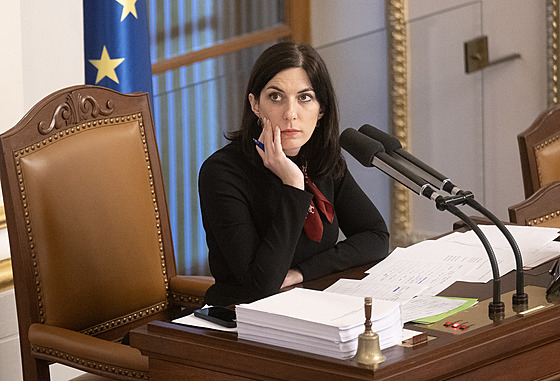 �éf Sn�movny a TOP 09 Markéta Pekarová Adamová p�i jednání o rozpo�tu ve...