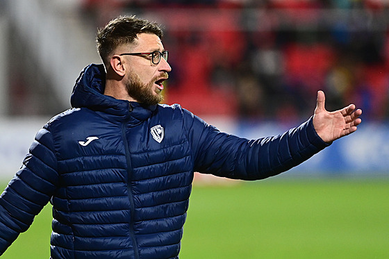 Kou� Pardubic David St�ihavka b�hem domácího utkání s Olomoucí (4. prosince...