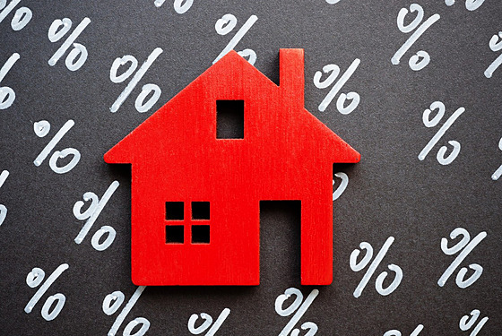 ilustra�ní snímek