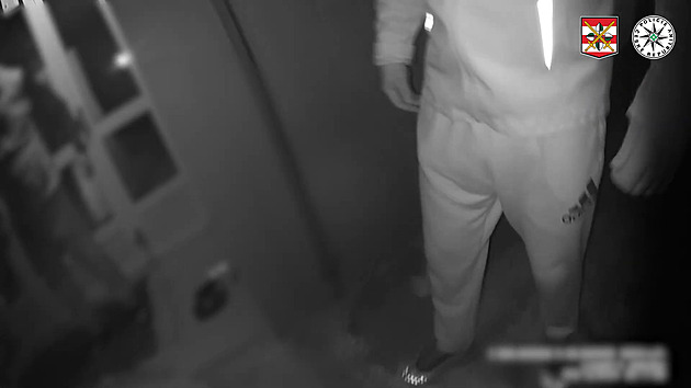 VIDEO: Dívka našla na ulici bezvládného muže, svědci ho s policií oživili
