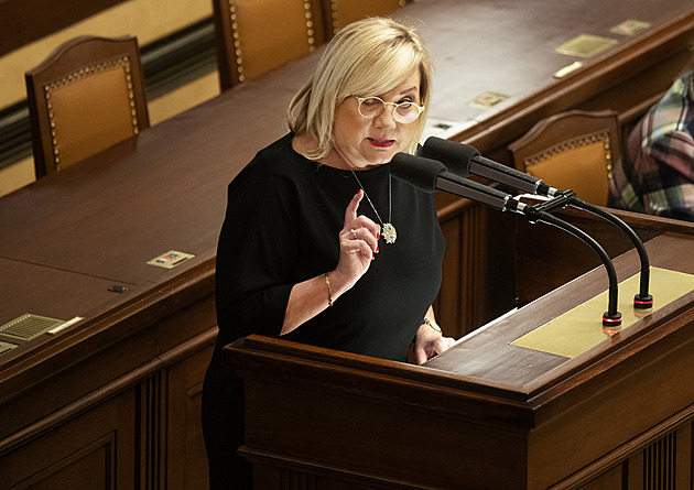 Plivnutí do tváře, říká Schillerová o návrhu na příspěvek na spoření na penzi