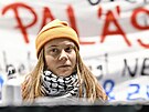 �védská klimatická aktivistka Greta Thunbergová vzbudila rozruch na...