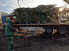 Vnon strom naloili pracovnci havlkobrodskch Technickch slueb ve...