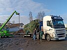 Vnon strom naloili pracovnci havlkobrodskch Technickch slueb ve...