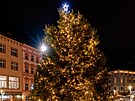 Pohled na olomouck Horn nmst s adventnmi trhy a vnonm stromem, kterm...