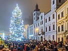 Rozsv�cen� v�no�n�ho stromu na hradeck�m Velk�m n�m�st� (1. prosince 2024)