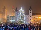 Rozsvcen vnonho stromu na hradeckm Velkm nmst (1. prosince 2024)