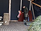 Pprava na slavnostn odhalen run malovanho hasiskho betlmu v Dolejm...