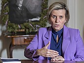 éfka senátorského klubu ANO Jana Mraková Vildumetzová (3. prosince 2024)