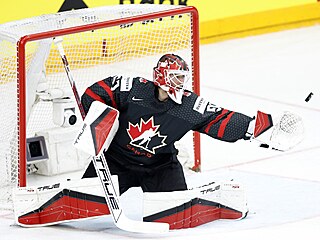 Jordan Binnington se natahuje po kotoui v utkání proti védsku.