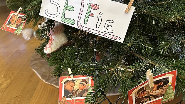 The Elf on the Shelf � v�no�n� sk��tek, kter� d�l� p�es noc neplechy. V noci si ud�lal (s)elfie s d�tmi, kter� se n�hodou dostalo i na strome�ek.