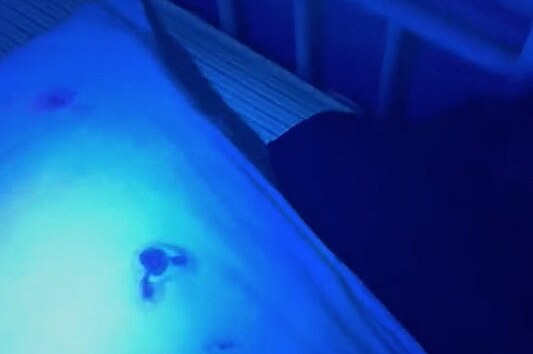 Pol�t��e byly skute�n� nechutn�, uk�zala UV lampa.