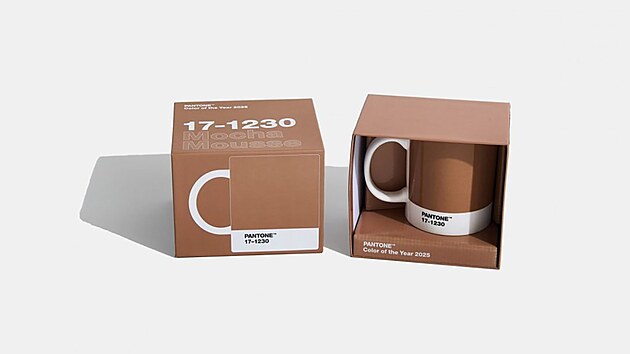 Barva roku 2025: Mocha Mousse