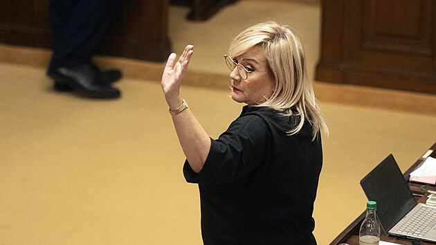 ��f poslanc� ANO Alena Schillerov� p�i jedn�n� o rozpo�tu ve Sn�movn� 3. prosince 2024