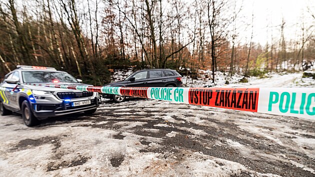 Policist na Jinsku nali tlo poheovanho manaera e-shopu s hudebnmi nstroji Kytary.cz. (9.prosince 2024).