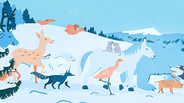 Z filmu Zv���tka a V�noce