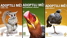 Adopce zví�at v pra�ské zoo