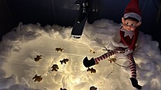 The Elf on the Shelf � váno�ní sk�ítek, který d�lá p�es noc neplechy. Klidn� si...