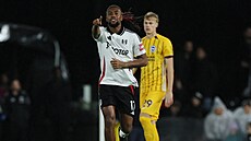 Alex Iwobi z Fulhamu slaví trefu proti Brightonu.
