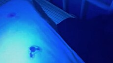 Pol�tá�e byly skute�n� nechutné, ukázala UV lampa.