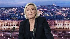V�dkyn� francouzské krajní pravice Marine Le Penová pózuje p�ed rozhovorem pro...