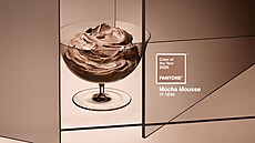 Barva roku 2025: Mocha Mousse