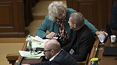 Schze Poslanecké snmovny. Na snímku Andrej Babi a Margita Balatíková (ANO)....