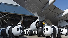 �ást z 2500 pandích soch je vystavena na mezinárodním leti�ti v Hongkongu b�hem...