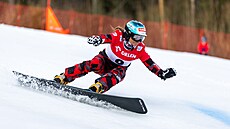 Rakouská snowboardistka Claudia Rieglerová