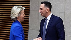 Ursula von der Leyenová - ilustra�ní snímek.