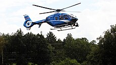 Vyetování v Klánovickém lese