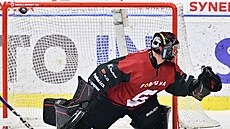 Branká� Josef Ko�ená� ze Sparty inkasuje druhý gól v utkání s Libercem.