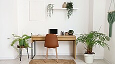 I bílé barvy existuje n�kolik odstín�, tam, kde t�eba pracujete, by nem�la být...