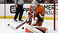 Branká Luká Dostál z Anaheimu v zápase s Ottawou.