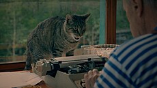 Z dokumentu Nný Hrabal