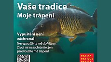 Kampa� hlavního m�sta Prahy, která radí, jak se vyhnout drastickému zacházení s...