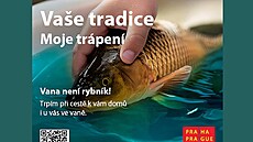 Kampa� hlavního m�sta Prahy, která radí, jak se vyhnout drastickému zacházení s...